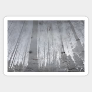 Landscape reflection from wet ice surface Sticker